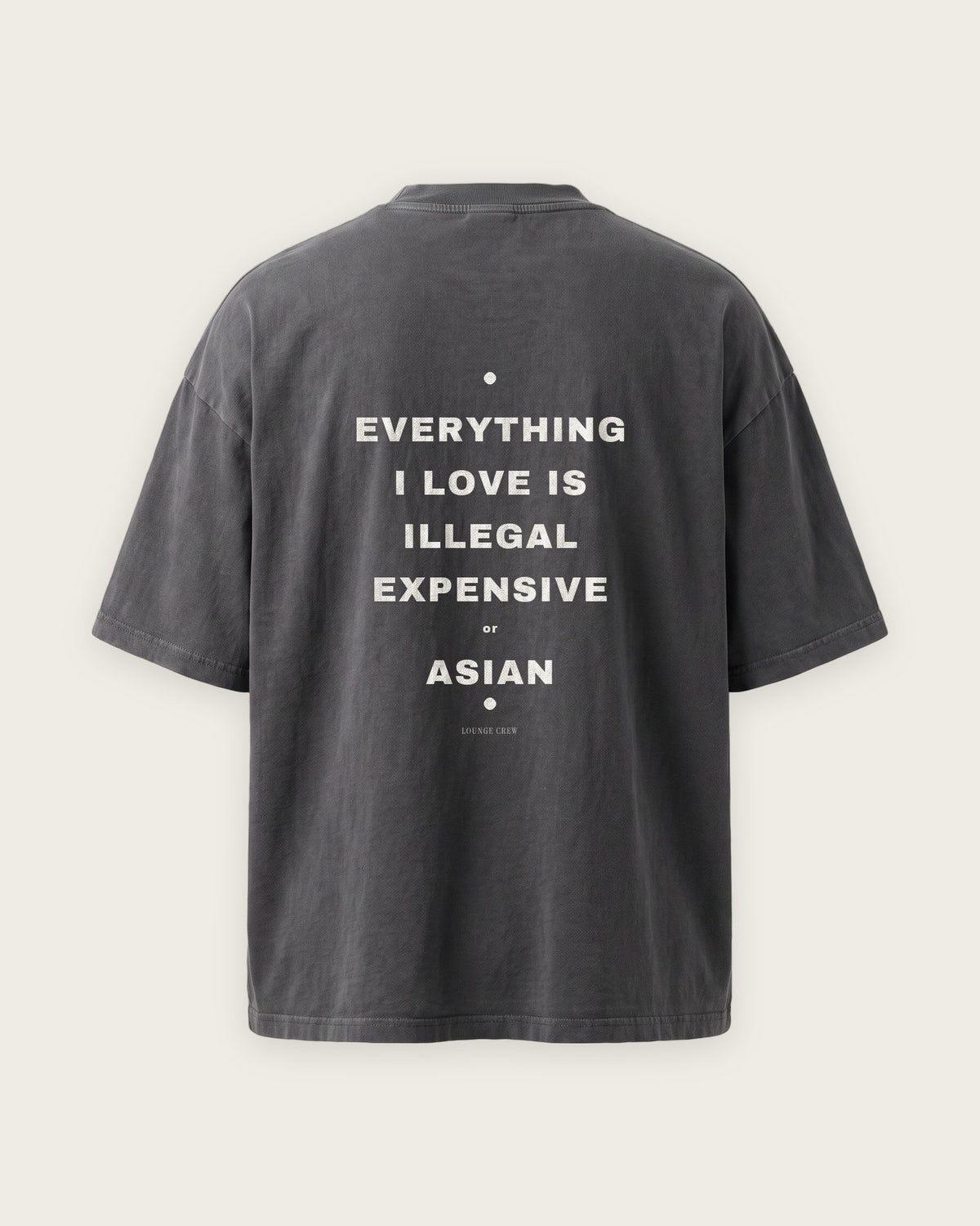 Camiseta Oversized “Everything I Love Is Illegal, Expensive or Asian” — Cinza Estonado